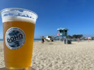 Doheny State Beach surf culture